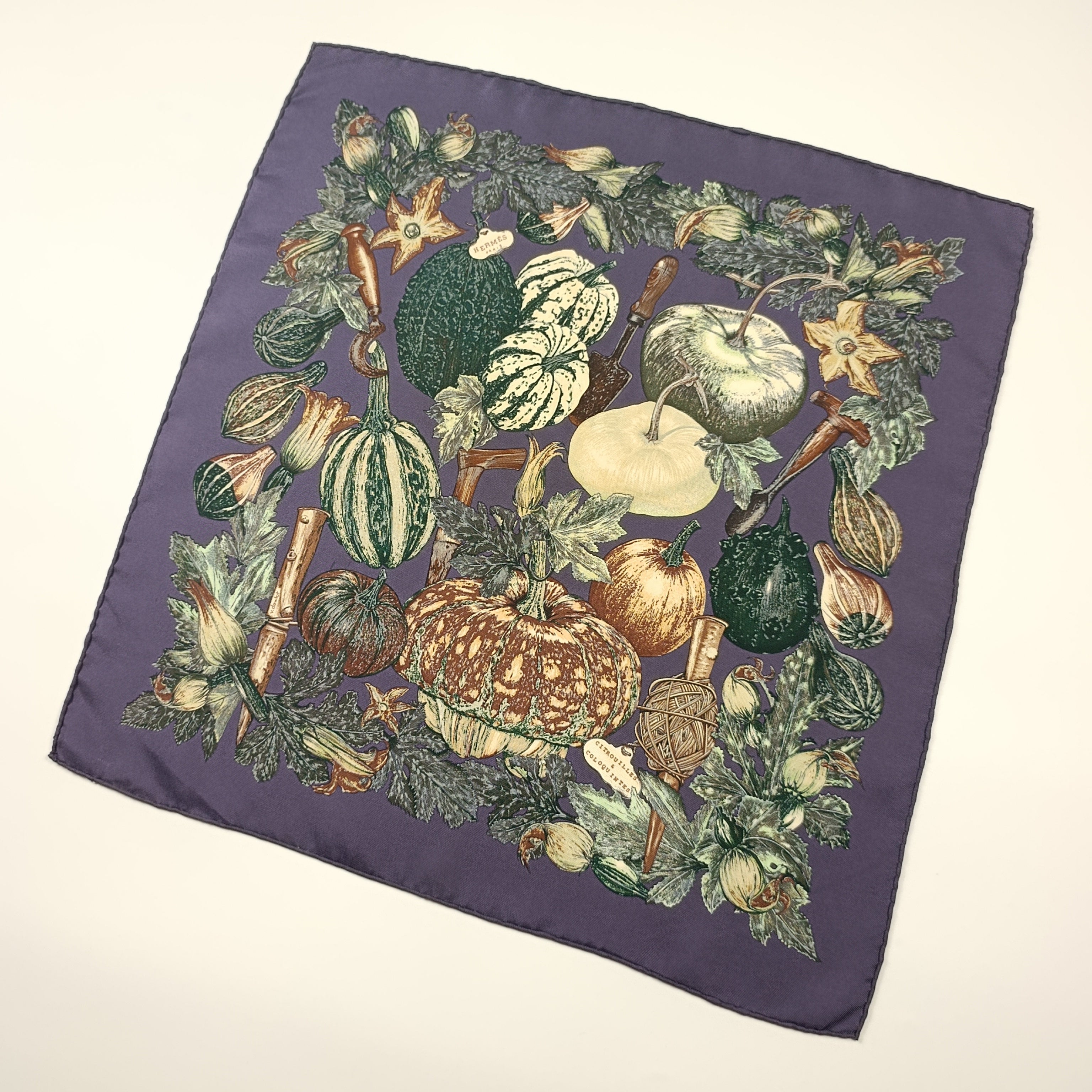 Foulard Gavroche Hermès Citrouilles et Coloquintes Seta 45cm