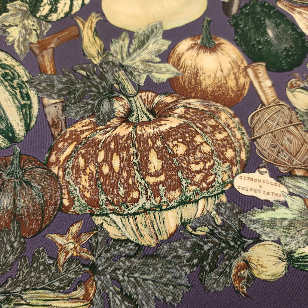 Foulard Gavroche Hermès Citrouilles et Coloquintes Seta 45cm