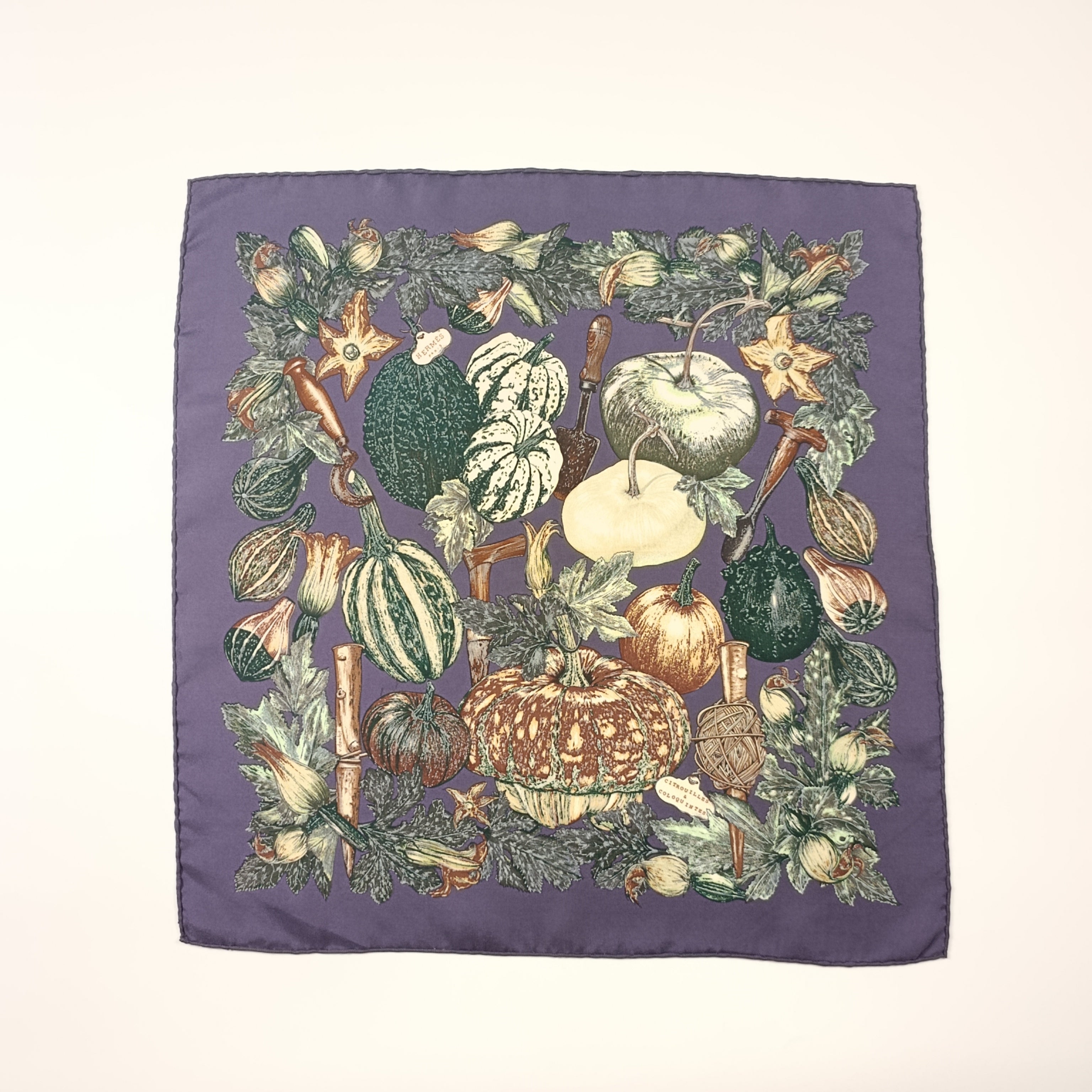 Foulard Gavroche Hermès Citrouilles et Coloquintes Seta 45cm