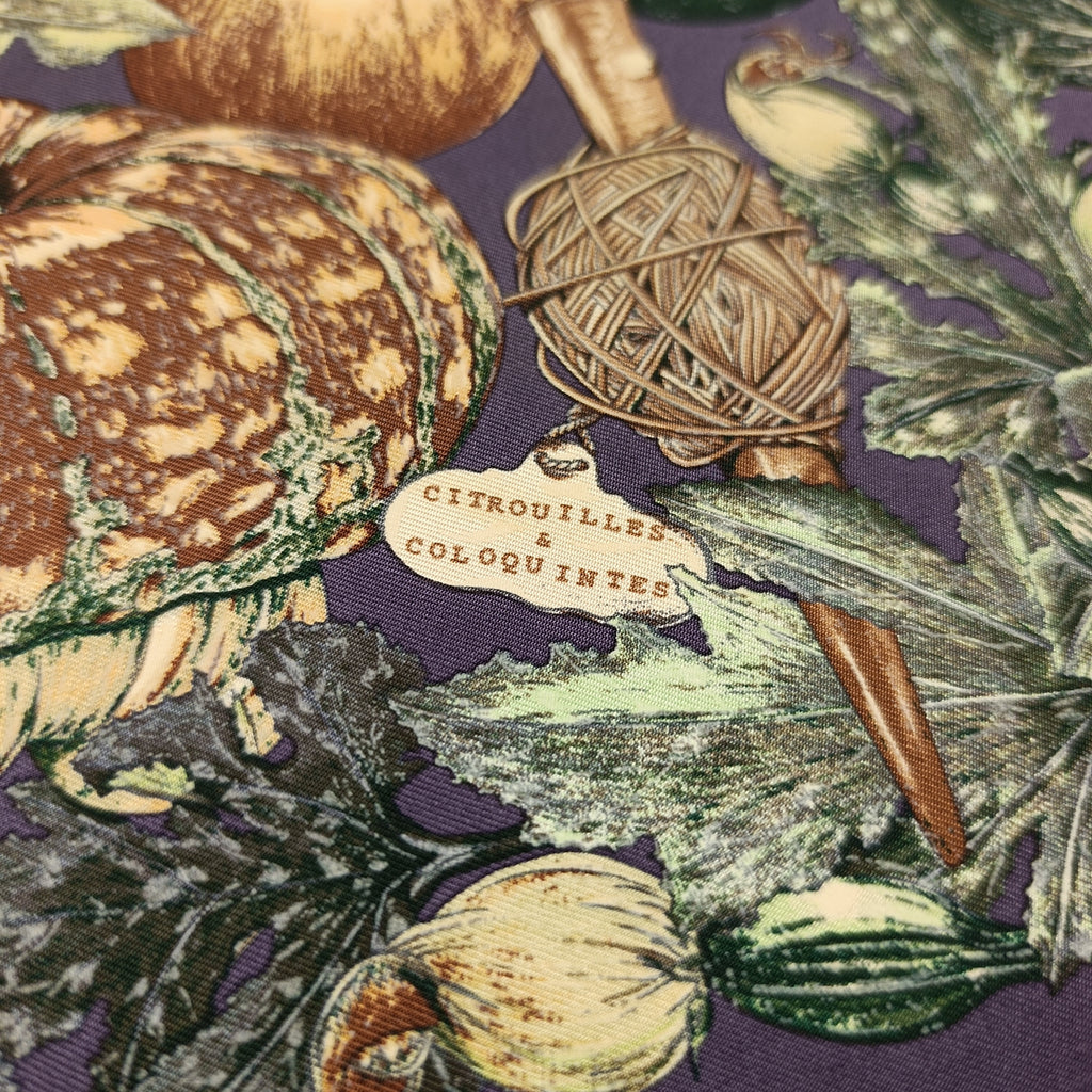 Foulard Gavroche Hermès Citrouilles et Coloquintes Seta 45cm