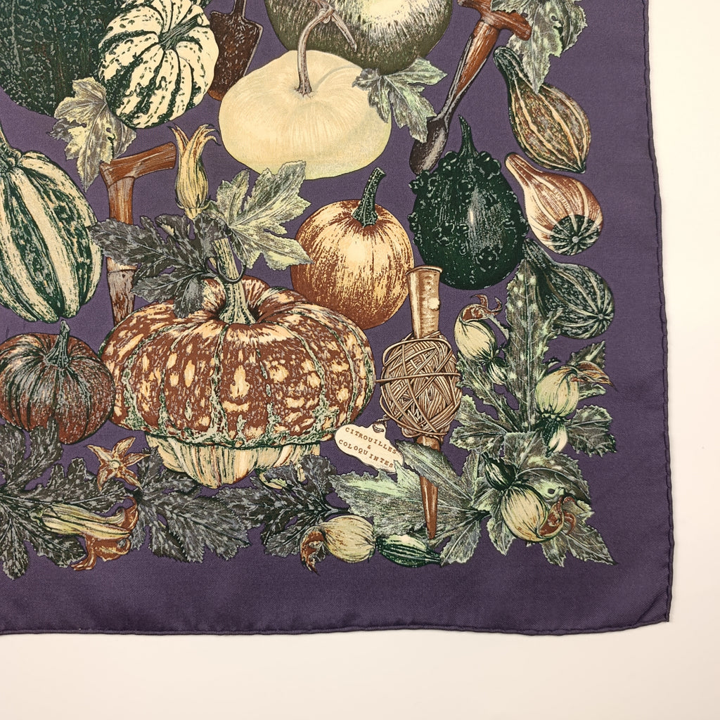 Foulard Gavroche Hermès Citrouilles et Coloquintes Seta 45cm