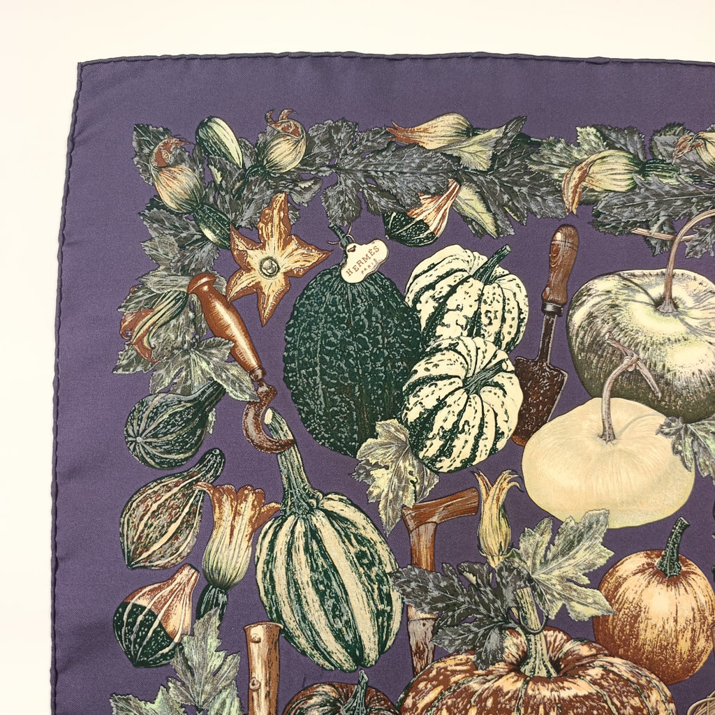 Foulard Gavroche Hermès Citrouilles et Coloquintes Seta 45cm