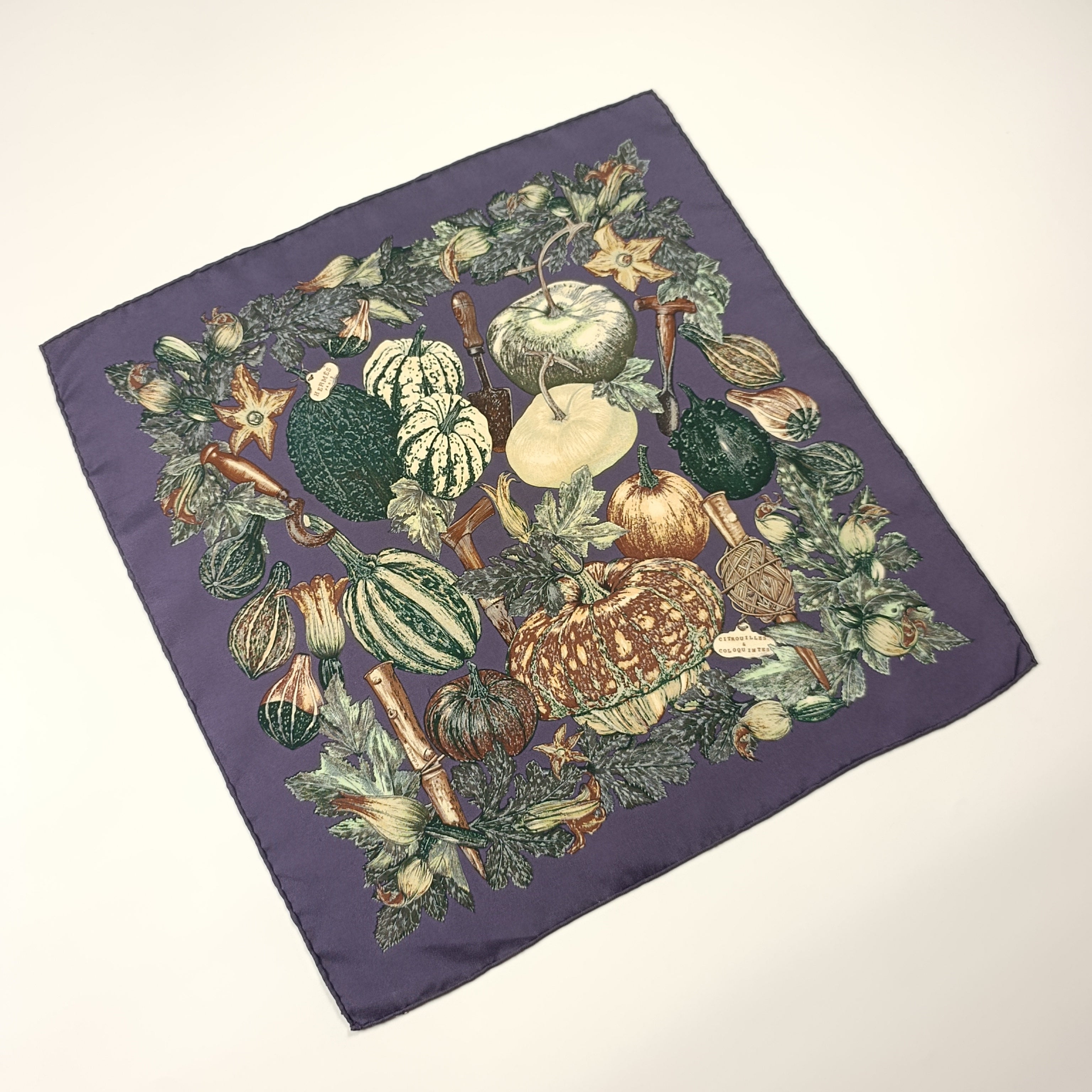 Foulard Gavroche Hermès Citrouilles et Coloquintes Seta 45cm