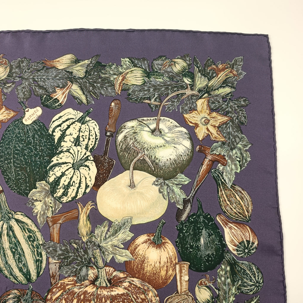 Foulard Gavroche Hermès Citrouilles et Coloquintes Seta 45cm