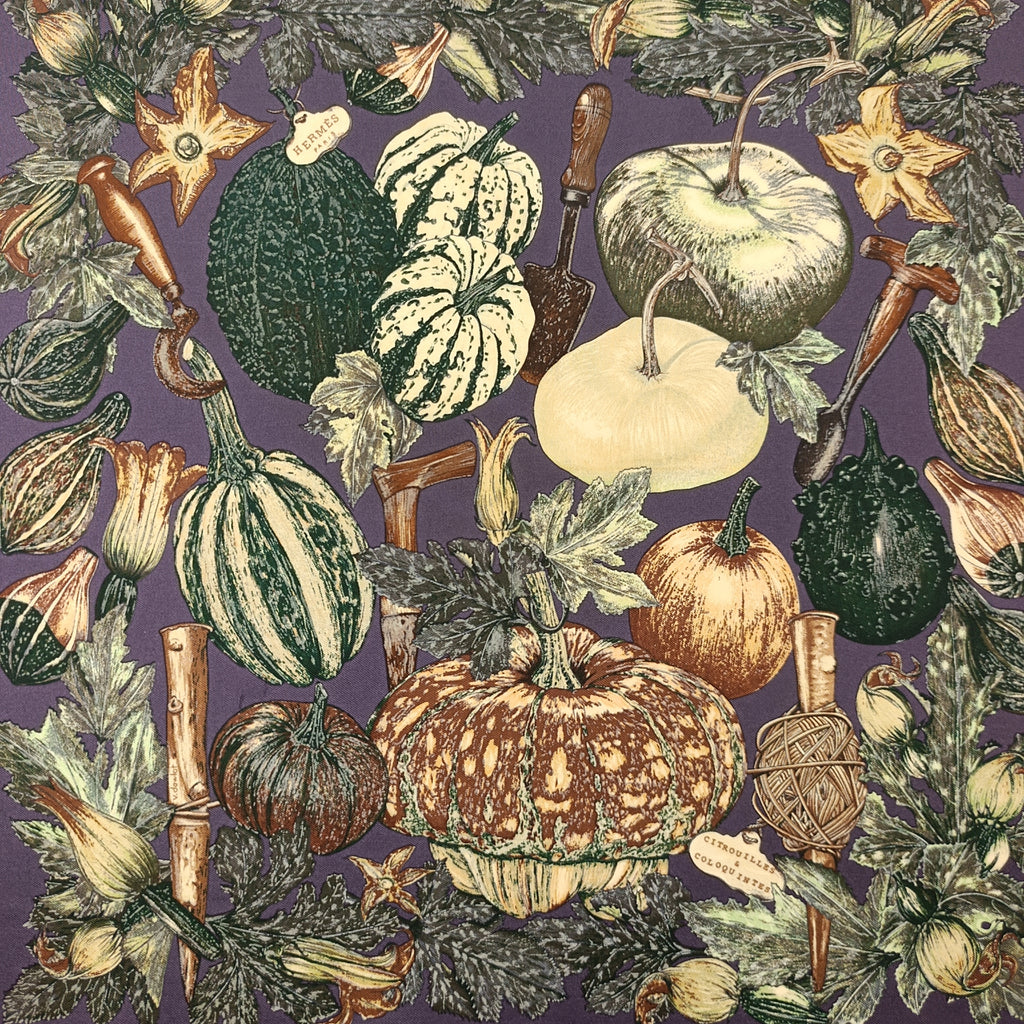 Foulard Gavroche Hermès Citrouilles et Coloquintes Seta 45cm